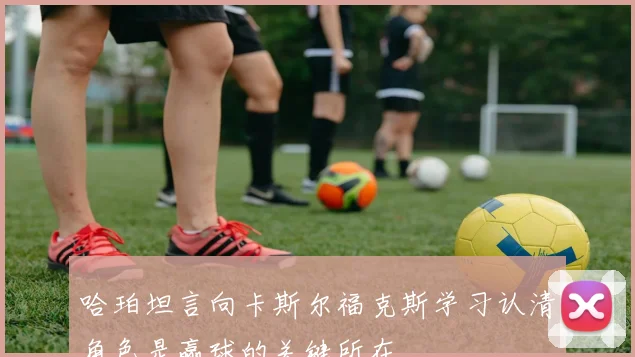 哈珀坦言向卡斯尔福克斯学习认清角色是赢球的关键所在